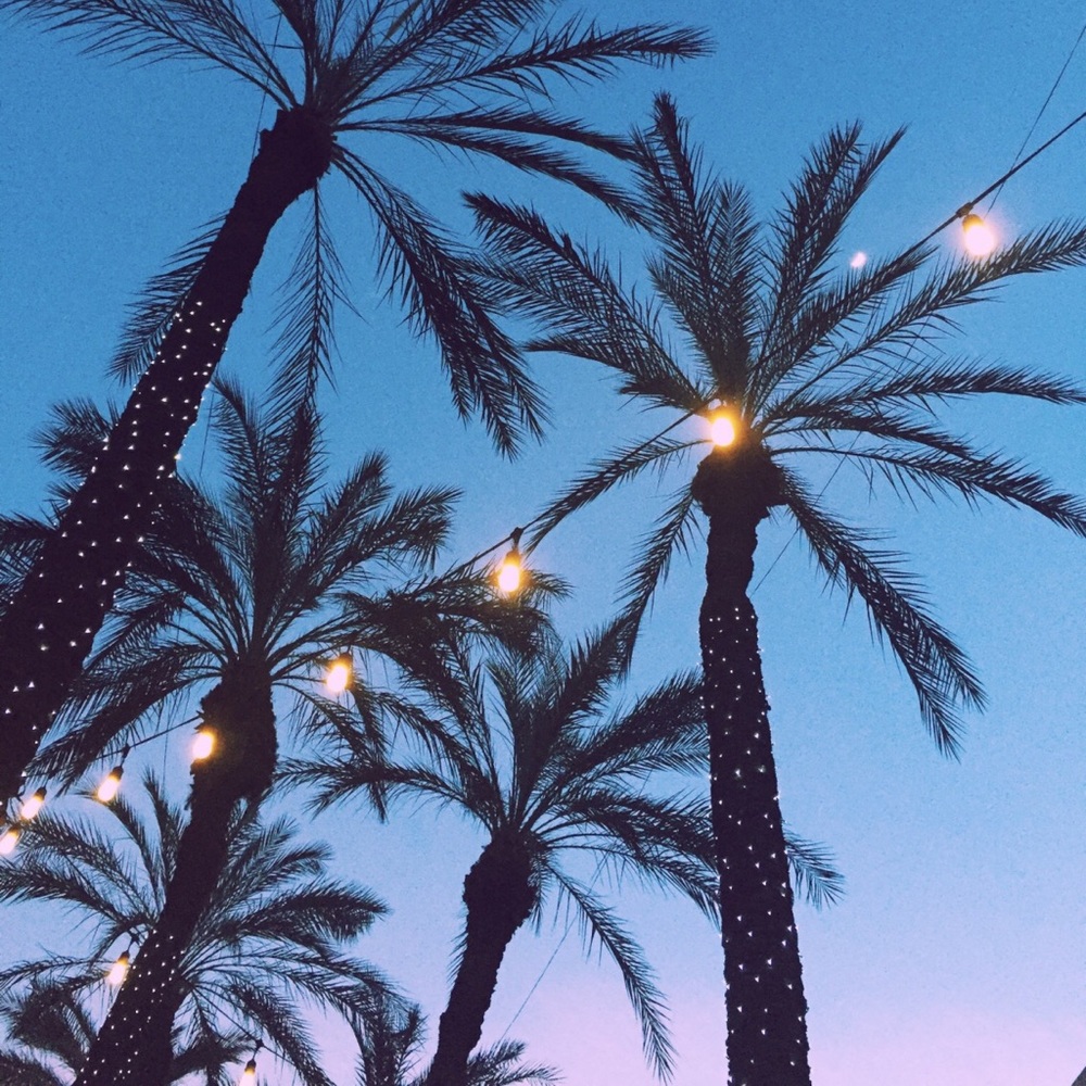 Meet your Posher, Darcie